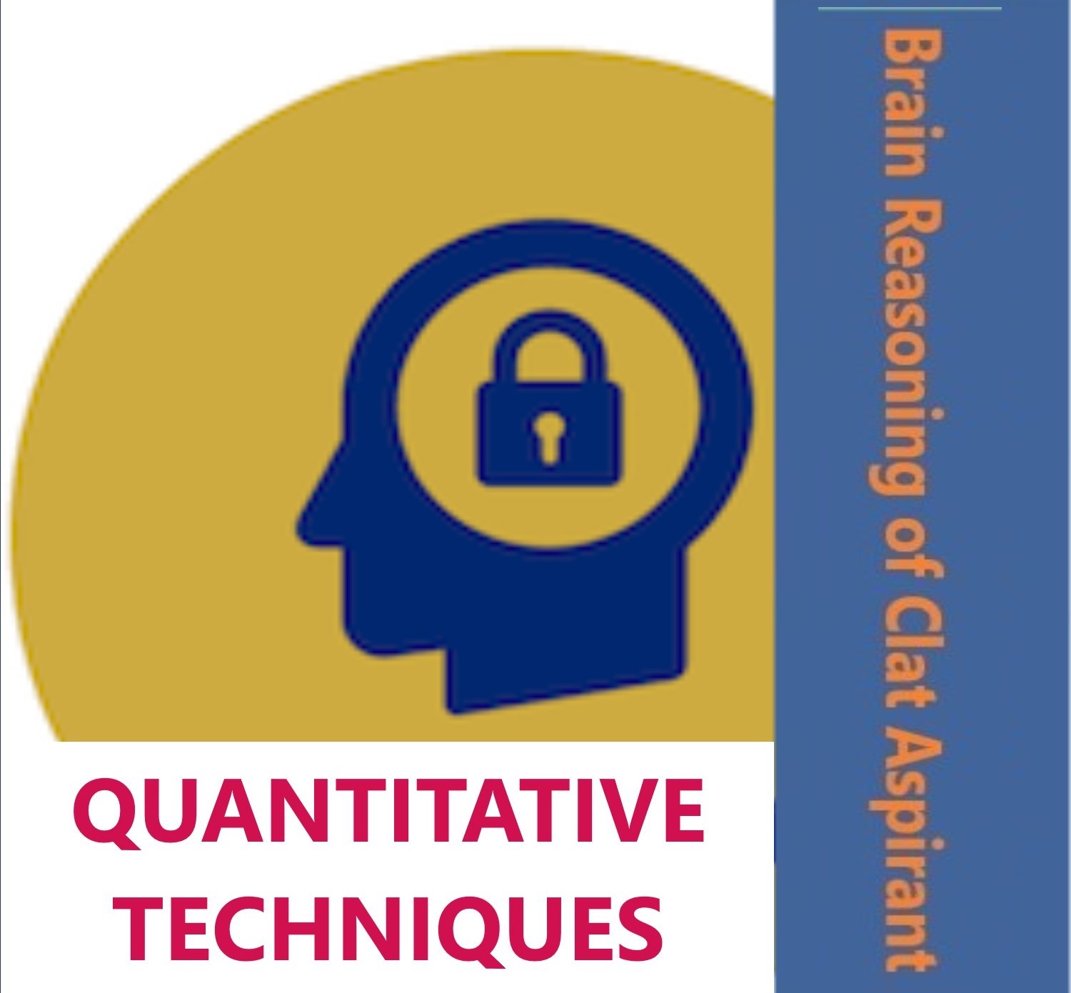 Quantitative Techniques Clat 